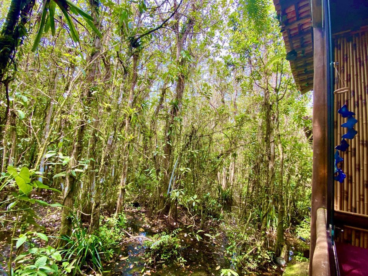 Maresias, Chalé H29 em condomínio de frente a Entrada 18 da praia e dentro da Mata Atlântica Sao Sebastiao  Esterno foto
